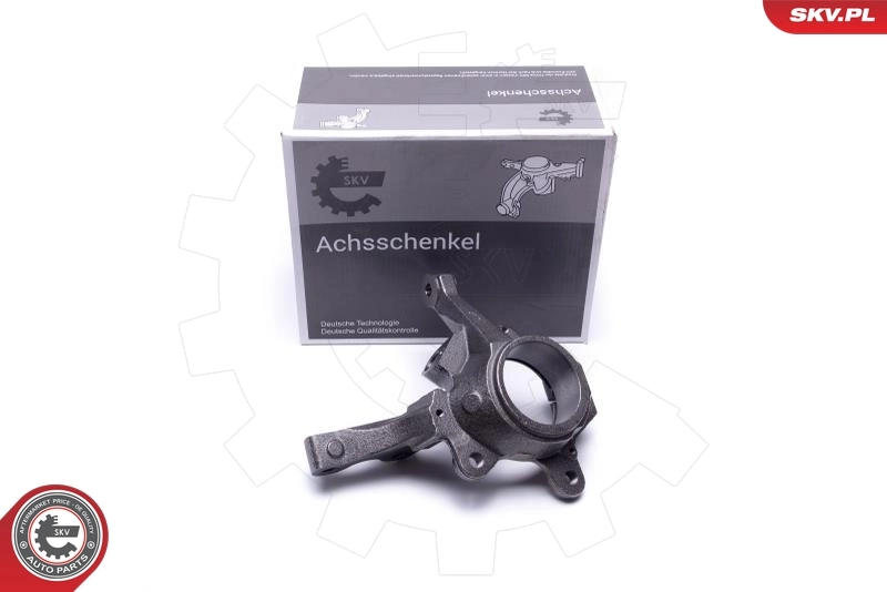 Steering Knuckle, wheel suspension